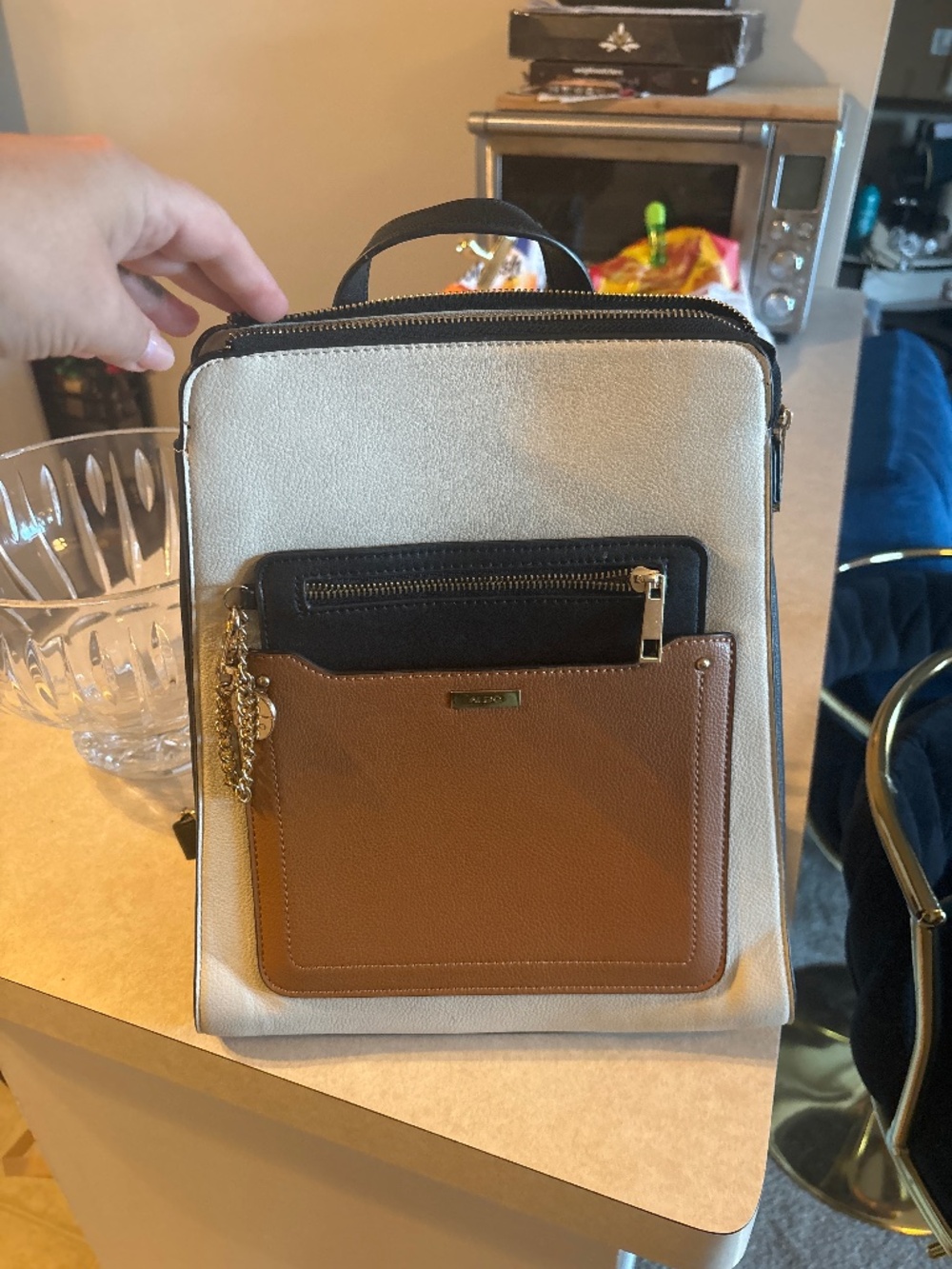 Aldo Small Backpack